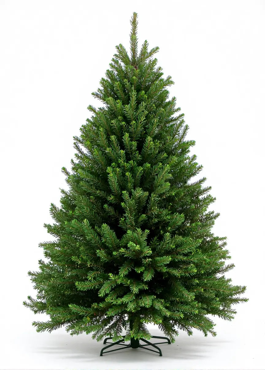 Nordmann kerstbomen